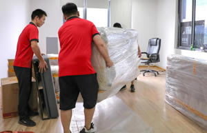 ��֥���ٰ���